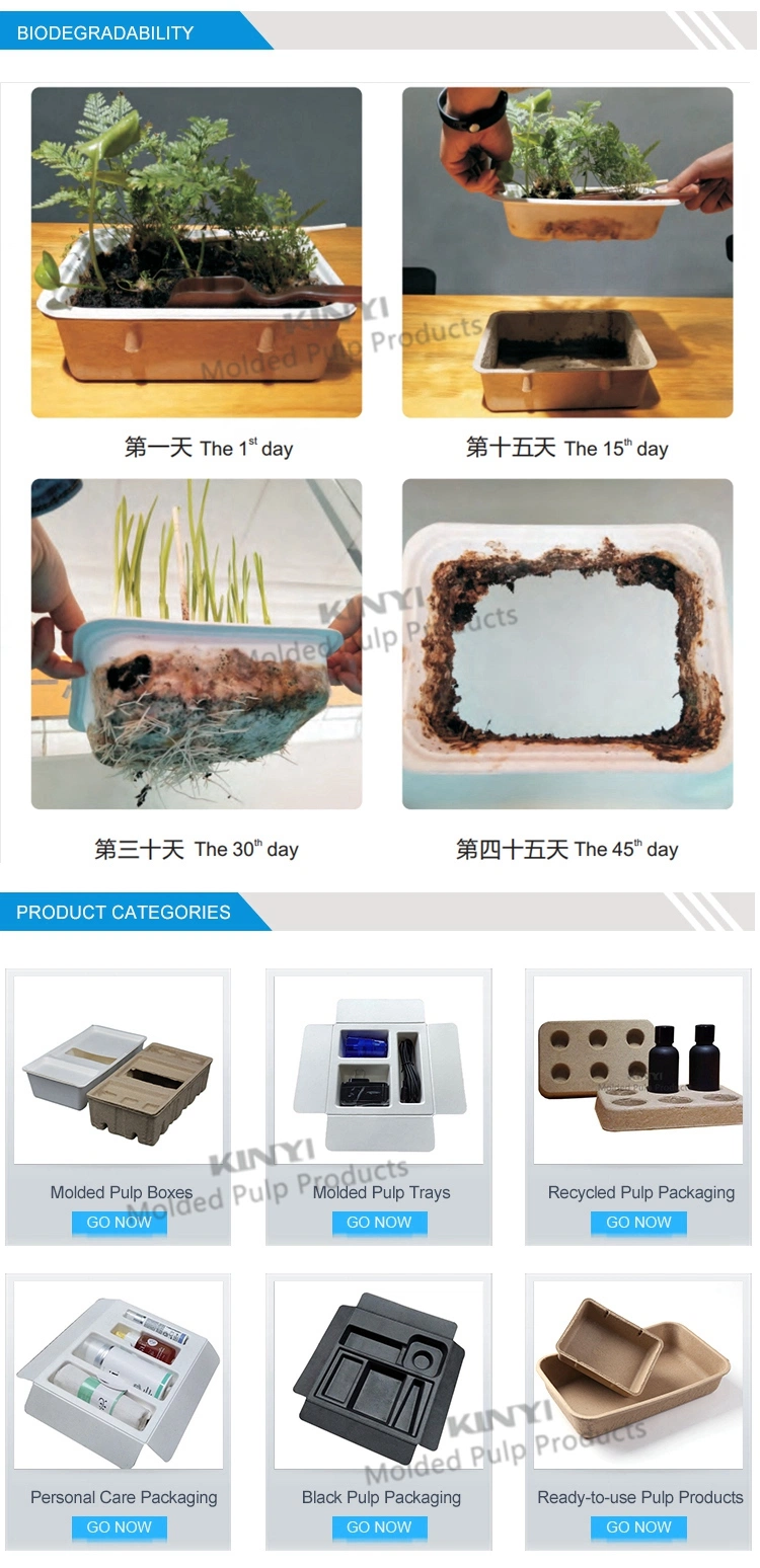 Biodegradable Packaging Products Custom Paper Packaging Foam Inserts